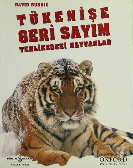 Tükenişe Geri Sayım resmi