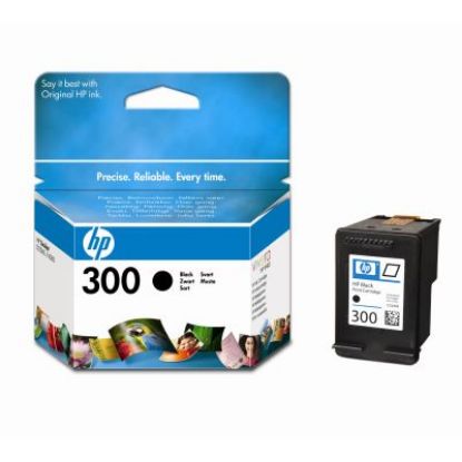 HP 300 Black Siyah Kartuş CC640EE resmi