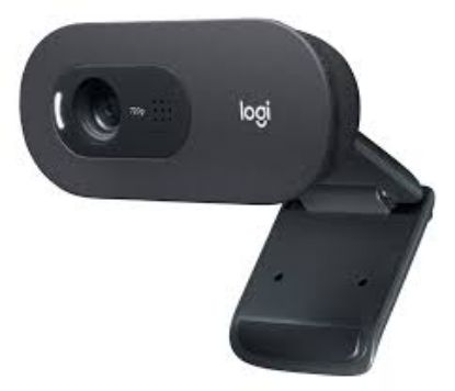 Logitech 960-001364 C505 HD Webcam - Siyah resmi