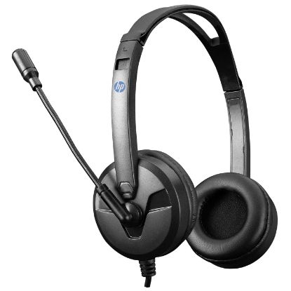 HP DHE-8009 Siyah Mikrofonlu Kulaklık resmi