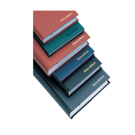 Bayındır Kasa Defteri Ciltli 320 YP 17x24 resmi