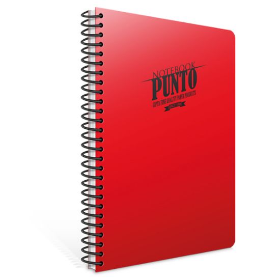 Gıpta Spiralli Defter Punto Plastik Kapak Çizgili 100 YP A4 3-6536000-2011 resmi