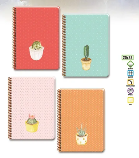 Keskin Color Spriralli S Kap Saguaro Defter 20x28 100 YP Kareli resmi