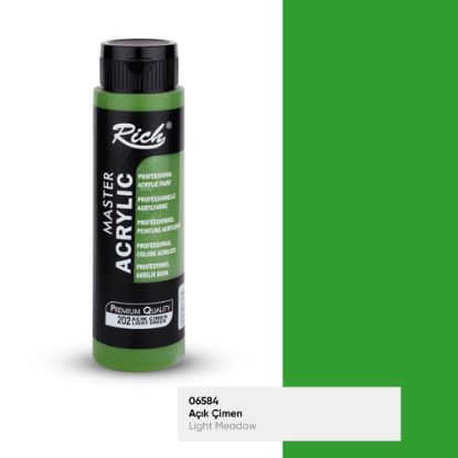 Rich Akrilik Boya Master 500 CC Açık Çimen 202 resmi