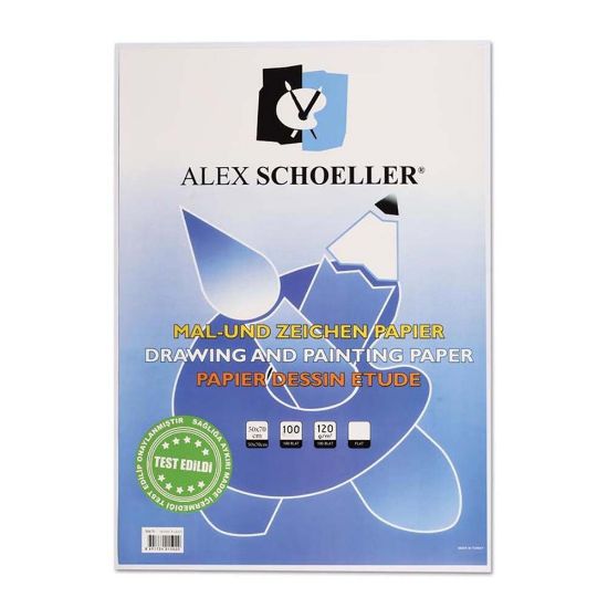 Alex Schoeller Resim Kağıdı 35x50 CM 120 GR 100 LU Pşt. resmi