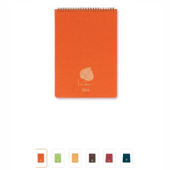 Keskin Color Bloknot Spiralli Linden Ofis A4 80 YP Kareli 146432-99 resmi