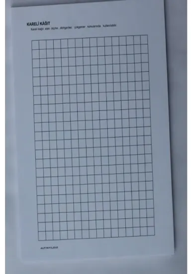 Altınyıldız İzometrik Kağıdı Kareli İZOM-431 resmi