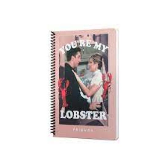 Mabbels Spiralli Defter Friends Youre My Lobster Pembe 80 YP 17x24 DFT-388463 resmi