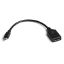 Dark Mini Display Port (Erkek) to Display Port (Dişi) 4K Destekli Dönüştürücü resmi