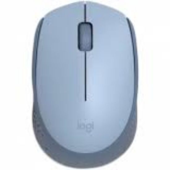 Logitech 910-006866 M171 Kablosuz Mavi Gri Mouse resmi