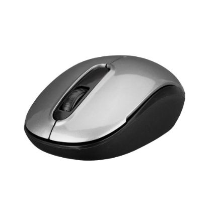 Everest SMW-666 Gümüş USB 2.4 GHZ Optik Kablosuz Mouse 1500Dpı resmi