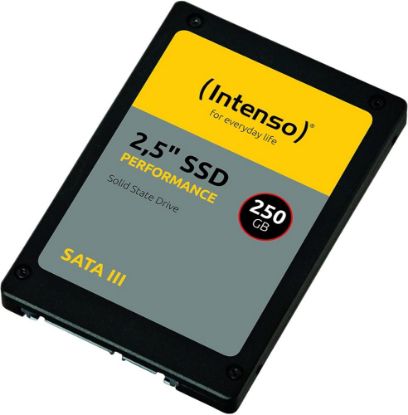 Intenso 250Gb Performance 250GB 2.5" Sata3 550MB-500MB/s Ssd Harddisk resmi