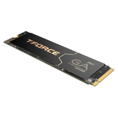 Team 1TB T-Force GA Pro 10000/8500MB/s NVMe PCIe TM8FFJ001T0C129 Gen5x4 M.2 SSD Disk  resmi