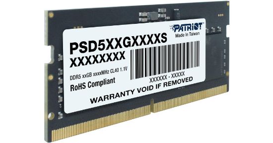 Patrıot 16GB Ddr5 5600MHZ CL46 PSD516G560081S Notebook Ram Sıgnature Lıne  resmi